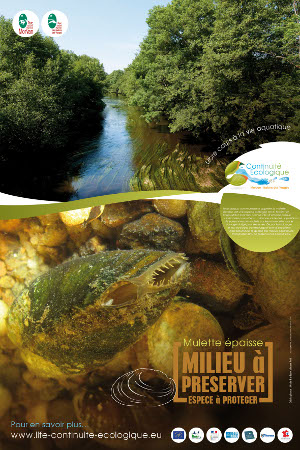 life mulette